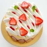 FRAISIER VANILLA